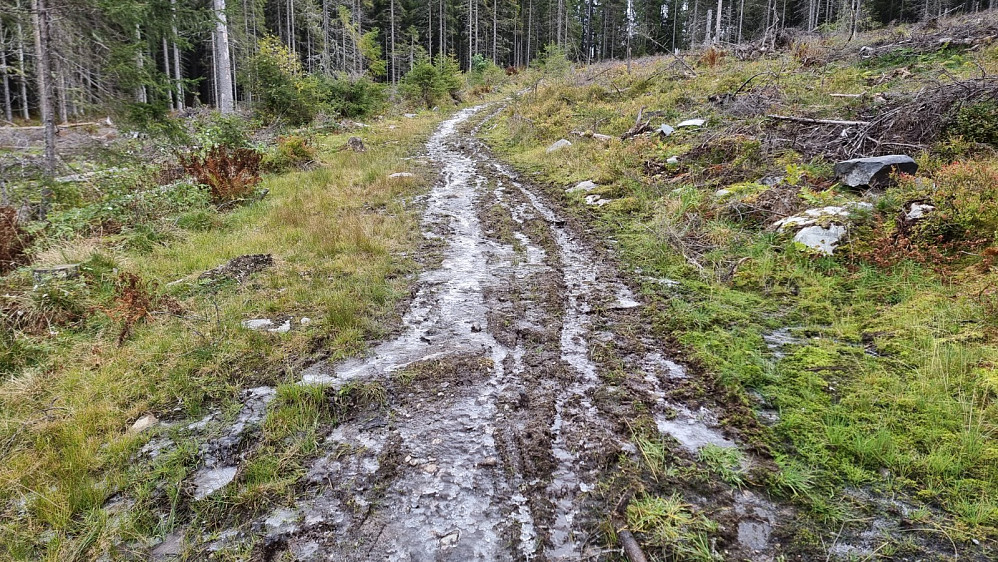 Det hedde vært såpass kaldt i nett at bakken var delvis frossen, og da gikk det lett å sykle i de gjørmete partiene