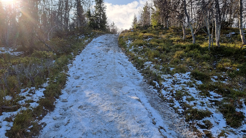 Fin kjerrevei hele veien. Men det var snøføre i skyggepartiene gjennom skogen