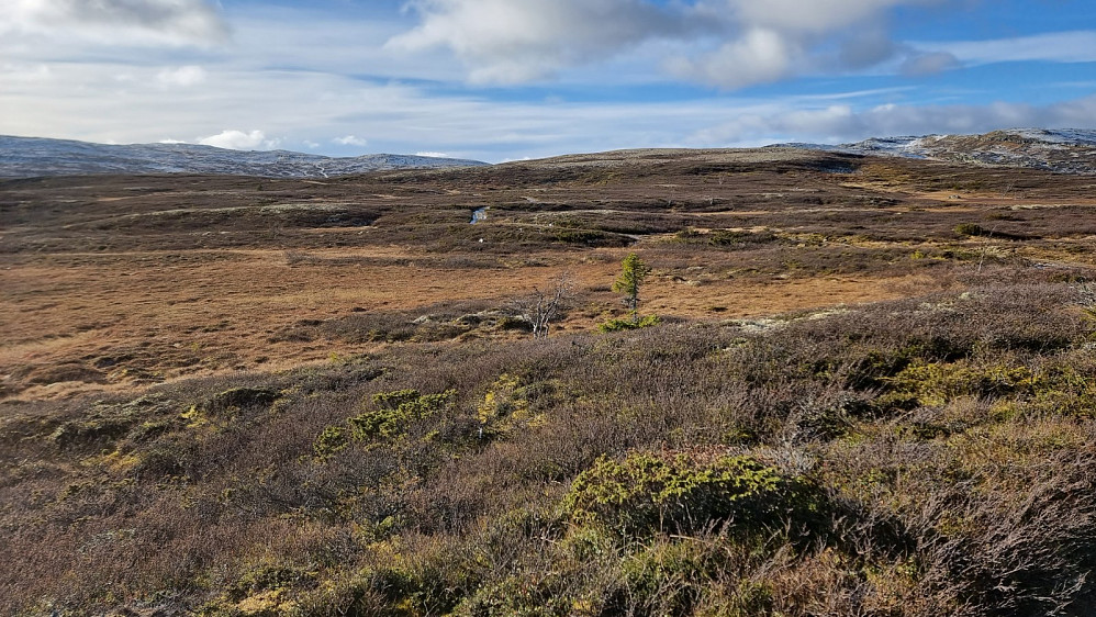 Flott å være på fjellet i dag, selv om det blåste friskt