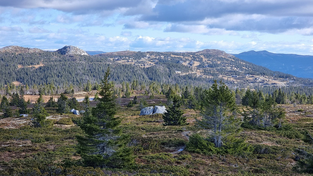 Utsikt bort på Kvitfjell og Segalstadkampen