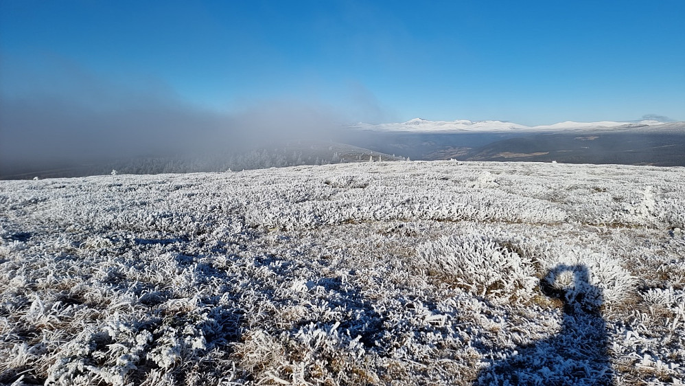 Mot Rondane