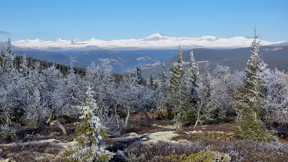 Her zoomet jeg inn mot Rondane