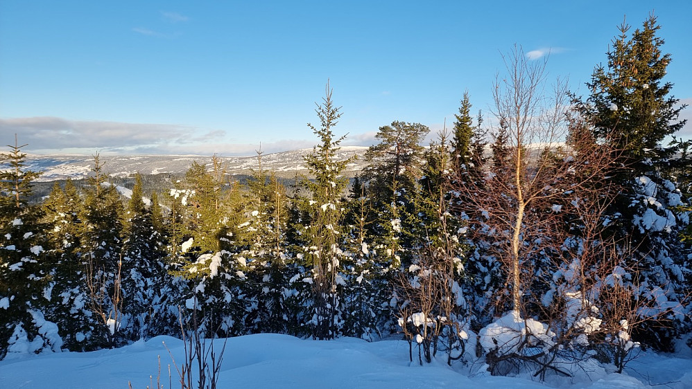 Fra toppen og opp mot Hafjell