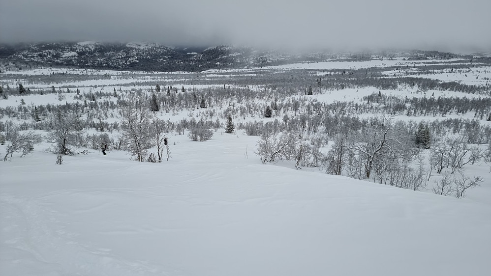 Tilbakeblikk litt oppe i fjellsiden. Det var første gang HS gikk på Rando, så det gikk i svært rolig tempo i dag