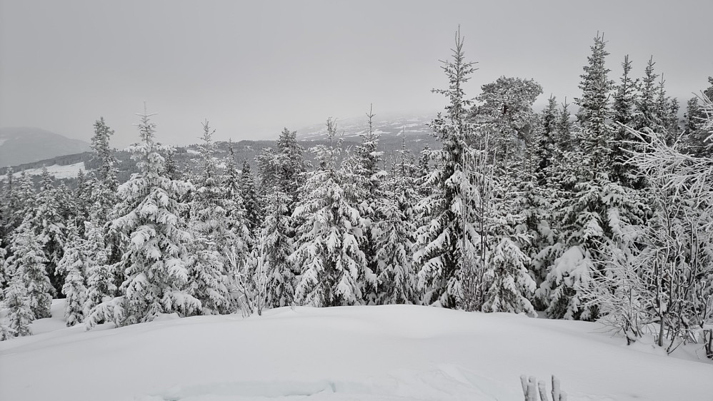Utsikt fra toppen av Balbergkampen og opp mot Hafjell