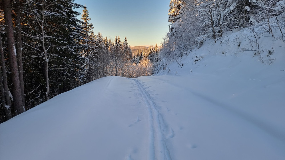 Utsikt opp mot Nevelfjell litt lengre ned i veien.