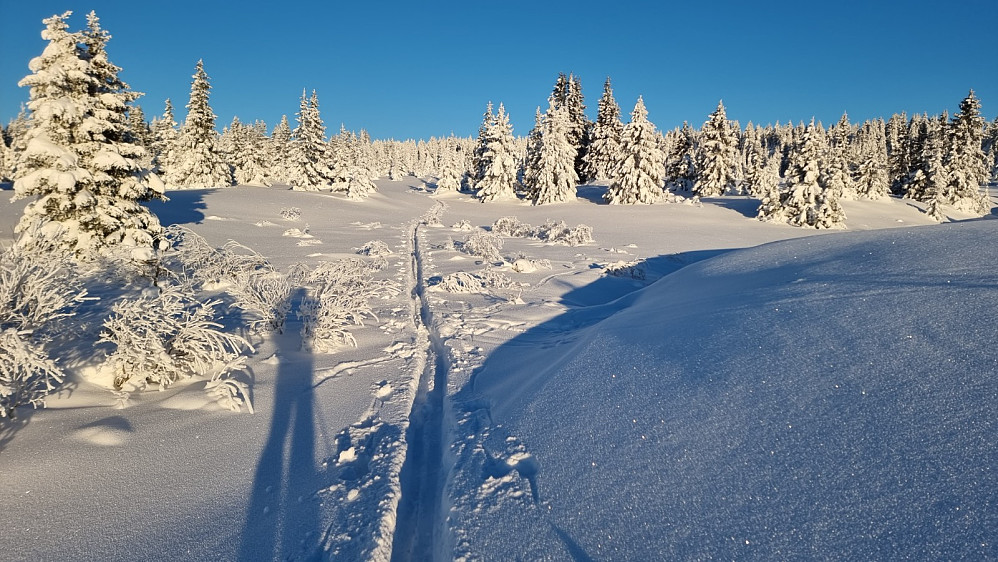 Jeg fant et fint spor jeg kunne følge i starten, selv om det ikke gikk i helt riktig retning