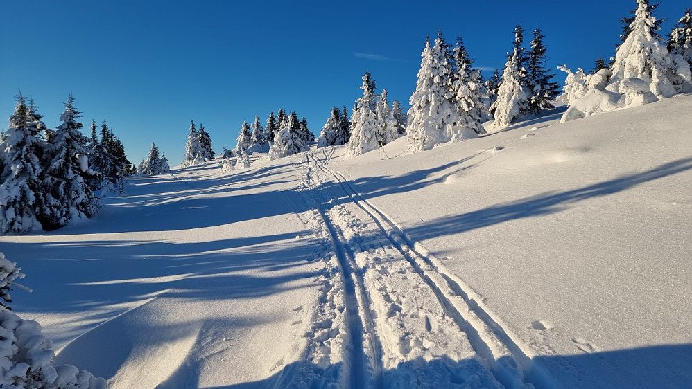 Opp mot fjellet var det mange som hadde gått siden siste snøfall