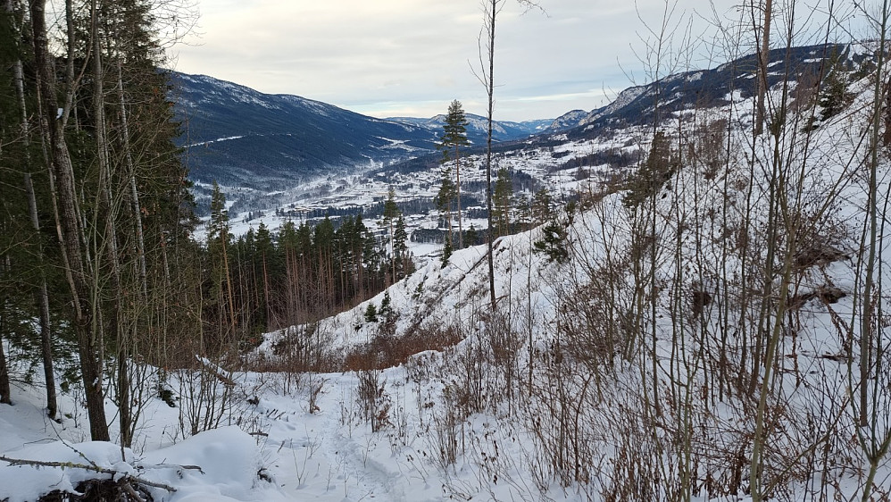 Tilbakeblikk i et hogstfelt litt oppe i lia