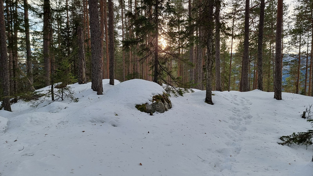 Toppen på Lisbetnøbbi