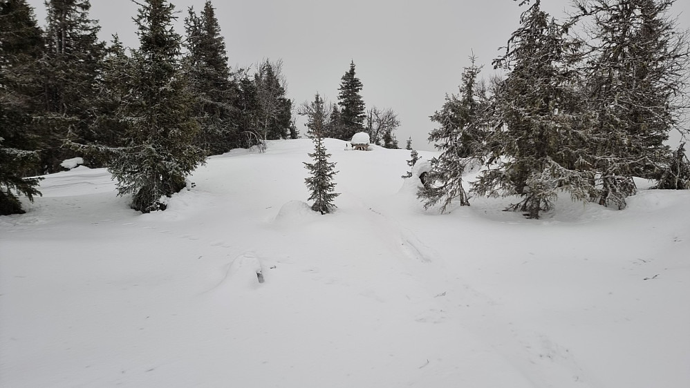 Høyeste punkt på Bergevassknotten