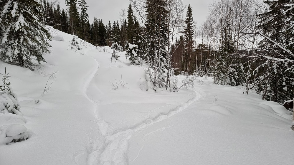 Fra stikrysset var det imidlertid kun en rev som hadde gått i stien siden forrige snøfall, og det ble god trim å gå opp her