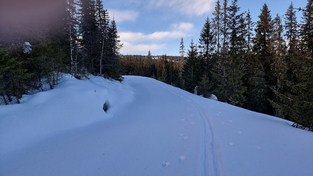 Det var lett å gå i ferdig tråkka skispor. Her fikk jeg sikt rett opp på Kinna