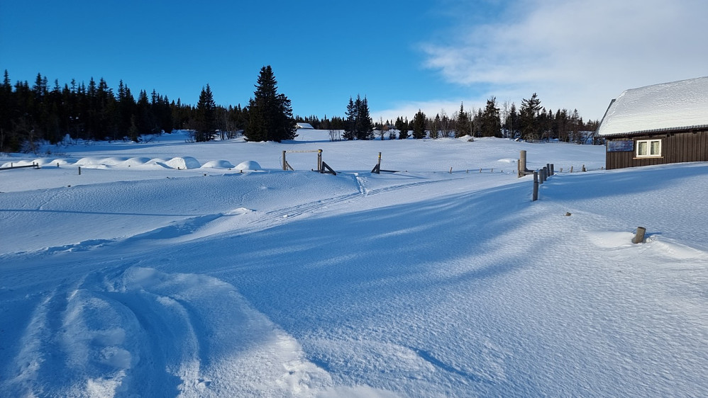Oppe på setra krysset jeg preparert løype og fulgte skisporet opp jordet, før jeg tok inn i skogen
