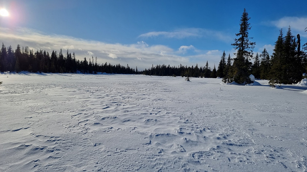 Vintermagien i skogen er over nå, da all snøen er blåst av trærne. Vinden tok skikkelig tak oppe på myra her.