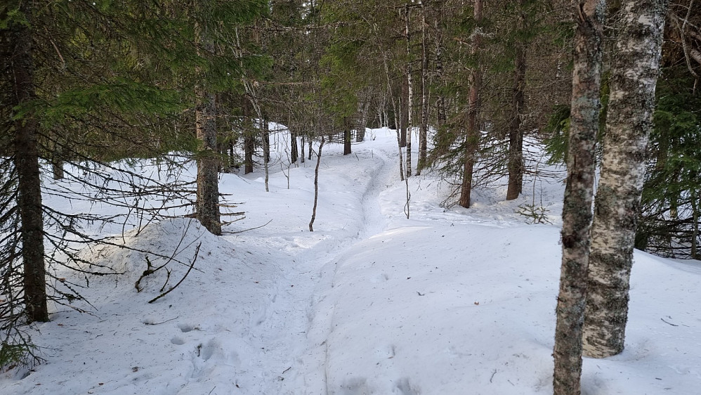 Opp mot Hansvehaugen tok jeg av på sti, som jeg fulgte helt til Balbergskaret