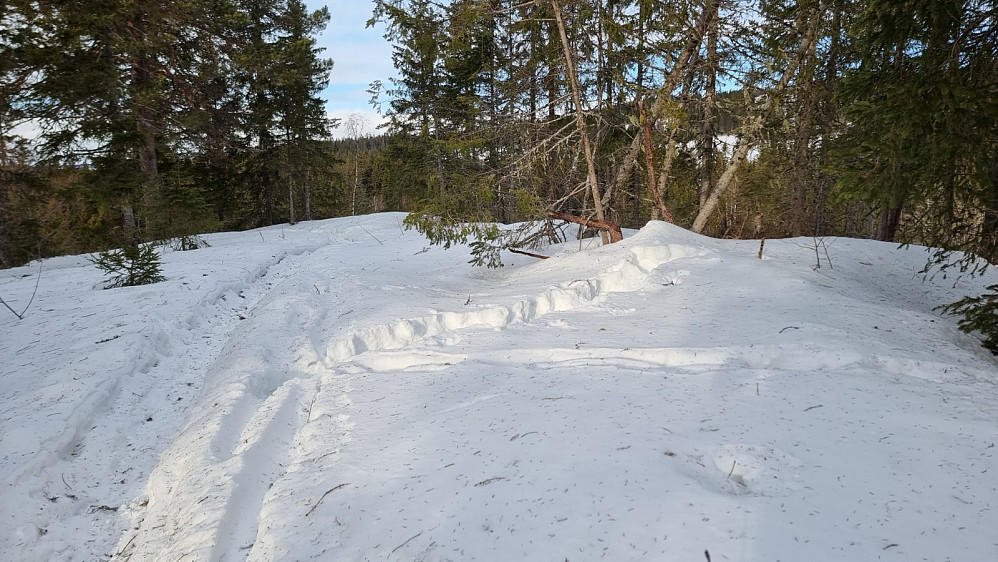 Toppen på Hansvehaugen