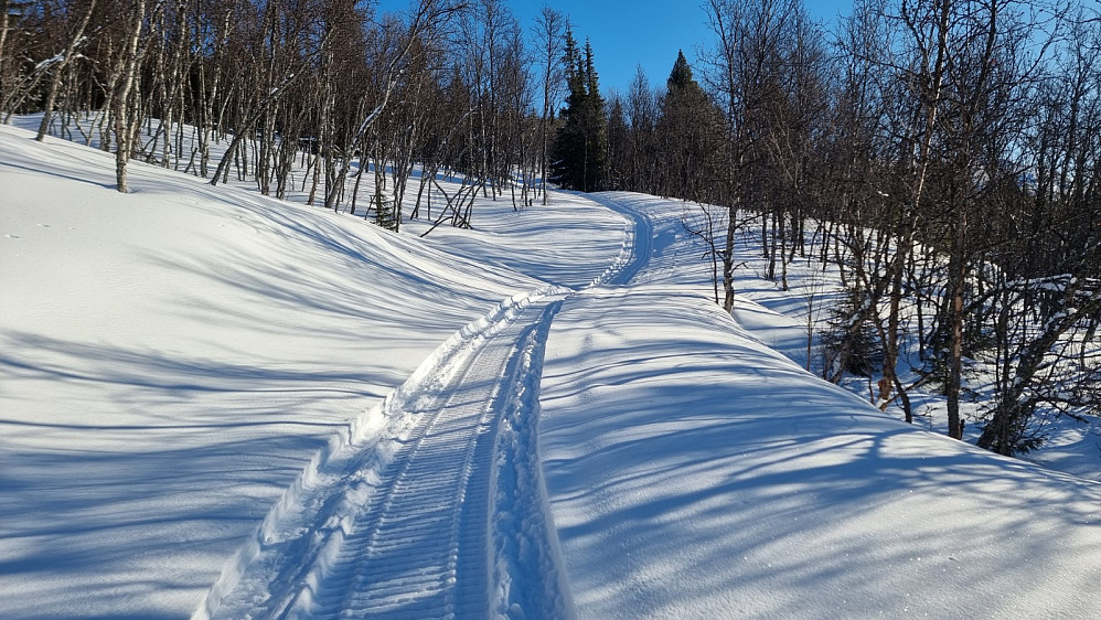 Siste biten opp av skogen var kjørt med scooter opp fra Stubberud, i dag tidlig