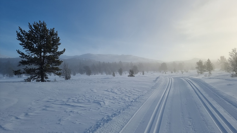 På innmarsjen mot fjellet åpnet tåka seg, og jeg så blå himmel