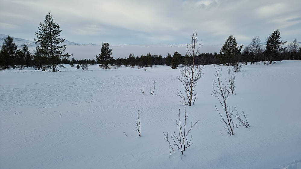 Tåka lå imidlertid som et hvit slør nede i Espedalen