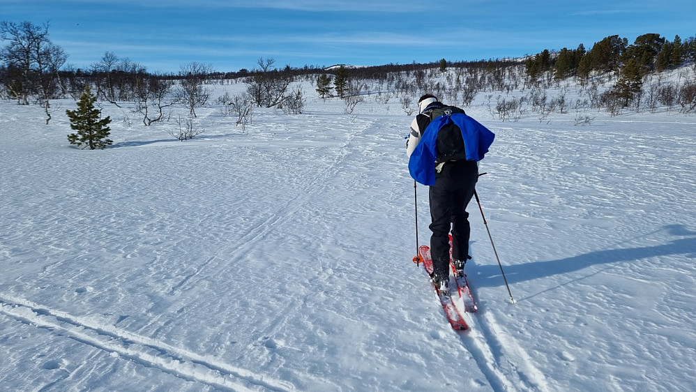 Turstart. Snøen bar bra og vi kunne gå hvor vi ville uten å dette igjennom, og vi gledet oss alt til akingen ned igjen