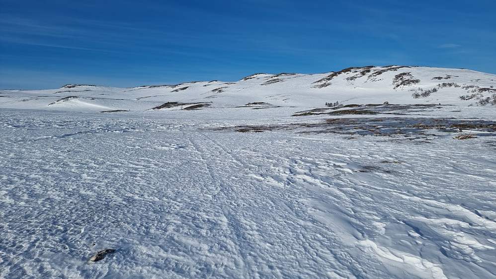 Oppe av skogen fikk vi fri sikt opp mot Grønlifjellet
