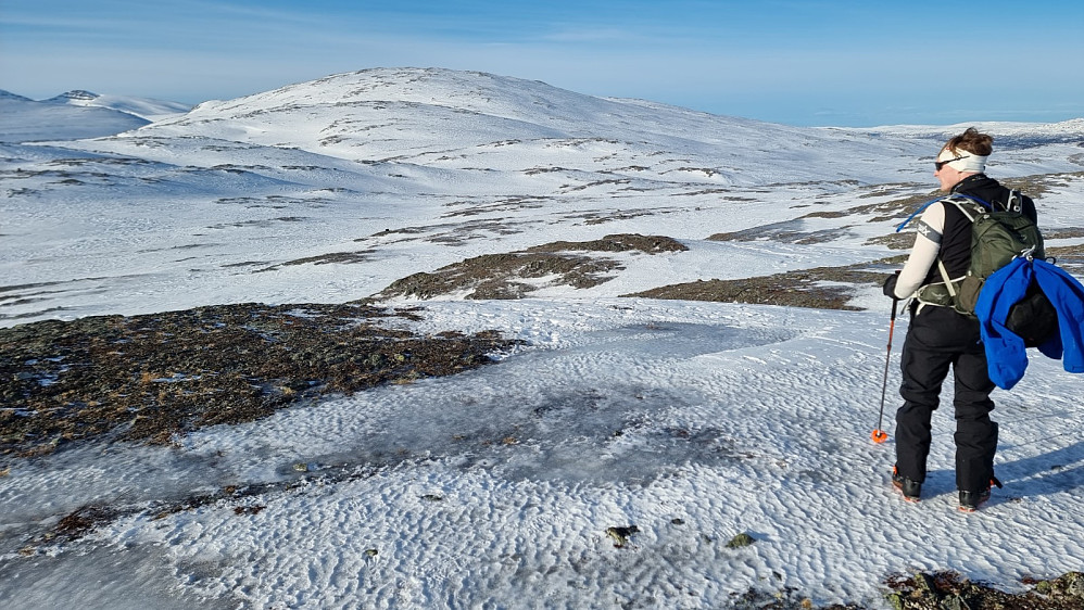 Fra toppen av Grønlifjellet og bort mot Gråfjellet