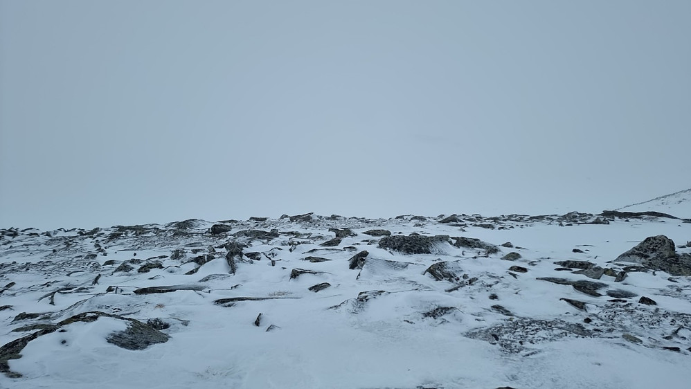 Ikke lett å si hvor høyeste punkt er på Nordre Kjølen. Her er Svarthøtta umulig å se i bakgrunnen pga tåka. Jeg valgte da å avslutte, da det er uforsvarlig å gi seg i kast med en bratt ukjent topp i slike forhold