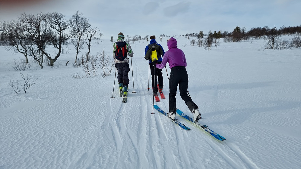 Ikke så bratt fra hytta og opp til fjellet, men det var fin akesnø
