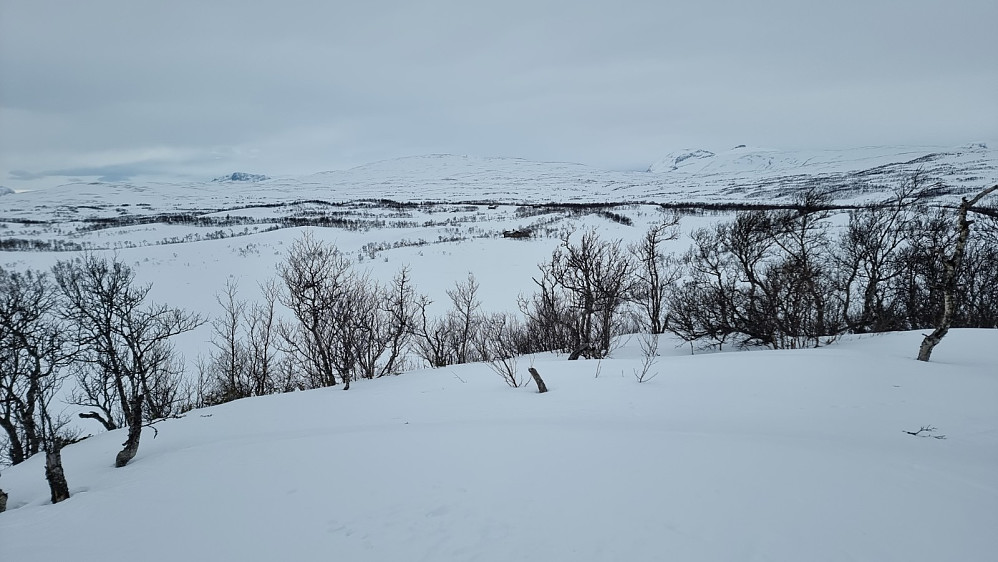 Toppen lå imidlertid litt lengre inn enn de første småtoppene vi så. Høyeste punkt var bare en lien kul. Her over mot Gråfjellet som HS og jeg var på for 2 dager siden