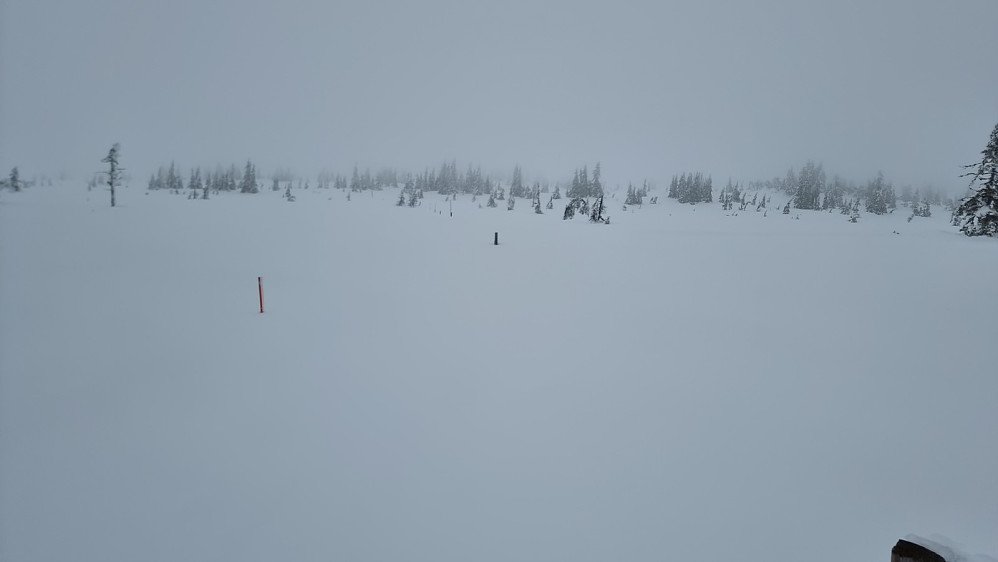 Løypa opp mot Snørvillen hadde jeg derimot for meg selv. Her var sporet føyket og snødd bort, så jeg satte mitt eget spor i den faste snøen, som bar alle steder.