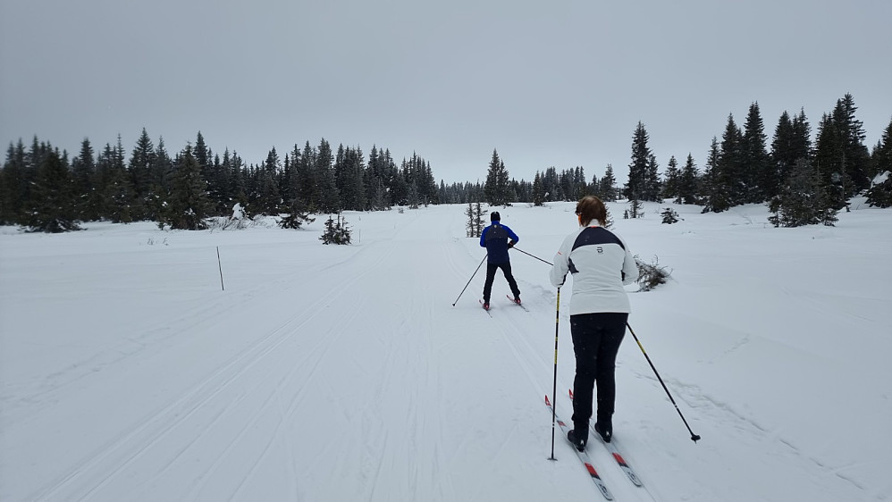 Snøen bar bra og det vart grei skuring å sykle opp til Nordseter. Noen skiløpere var det i løypene, men det var godt om plassen i dag