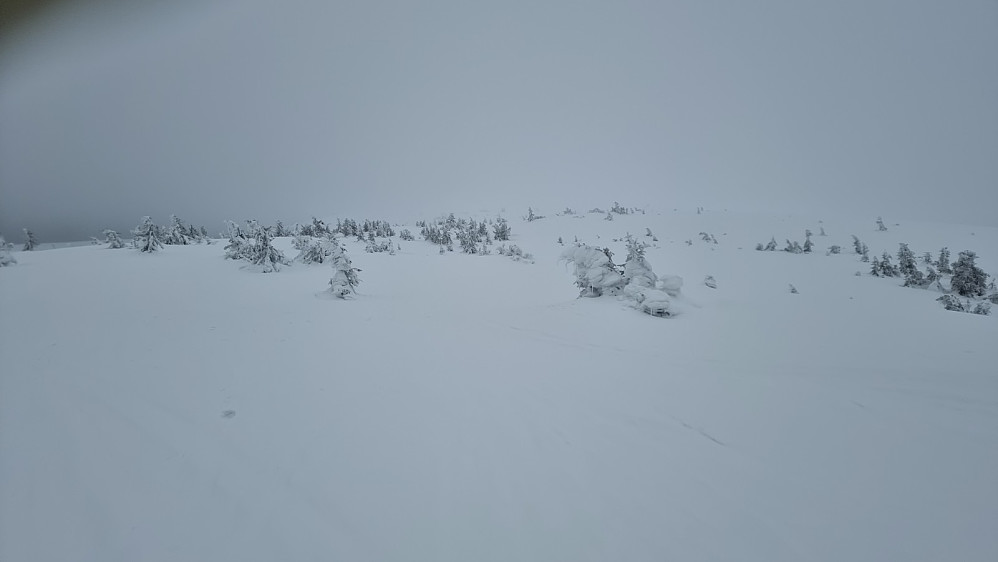 Etter preparert løype tok jeg av på scooterspor opp fjellet. Det var imidlertid så flatt lys at jeg slet med å se scootersporet, så det ble å gå og trille sykkelen mye av turen opp
