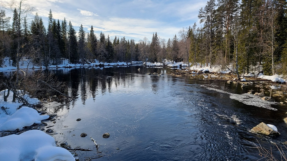 Flott på Mesnasaga i dag