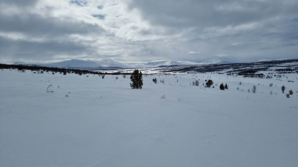 Sola ville ikke helt i dag, men været var likevel bra.