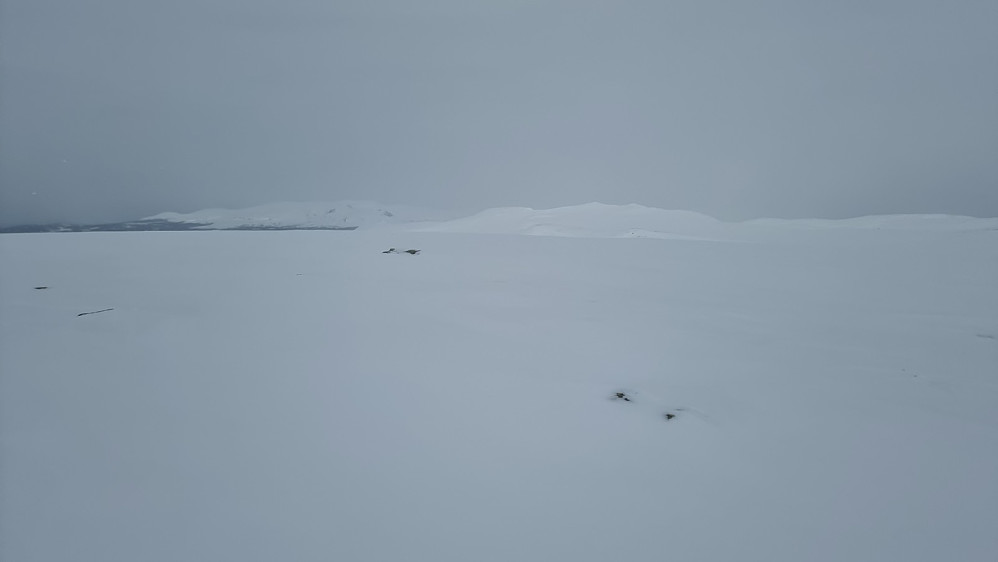 På den flate toppen av Kruskravkampen og mot Espedalen og Ruten