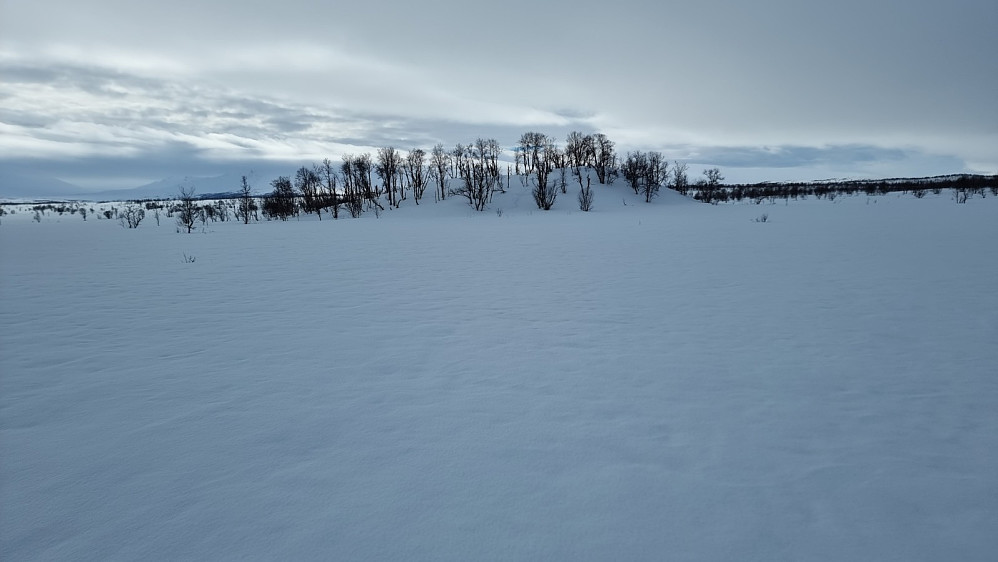 Ikke rare toppen dette, men utsynet over de flate myrene og bort på fjellene er formidabel