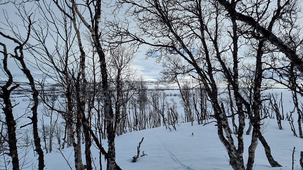 Østover med Kruskravkampen i det fjerne