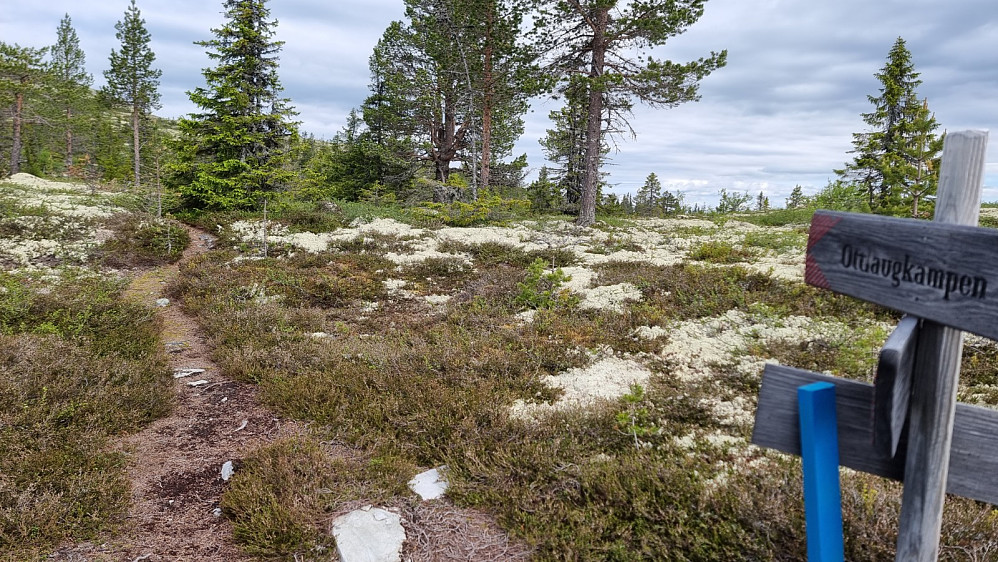 Godt skiltet i stikryss oppe på ryggen