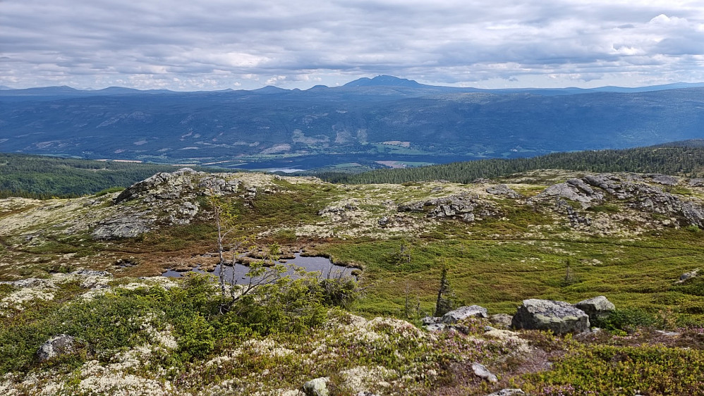 Utsikt mot Sølen