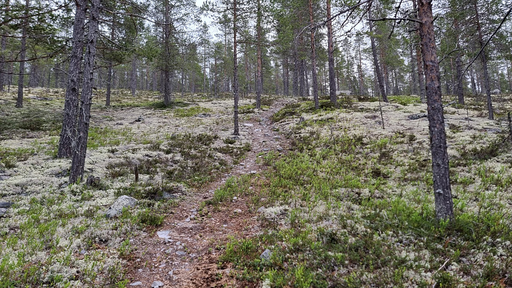 De første 100 høydemetrene var skikkelig bratte