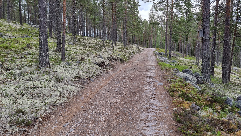 Her kom jeg inn på veien jeg burde å kjørt opp, men slikt vet man ikke når man ikke er lokalkjent. Men da ble det lengre å gå og bedre trim :-)