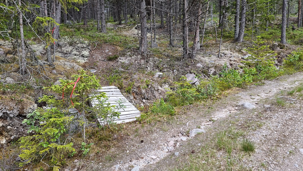 Her gikk det av en tydelig merket sti, og jeg valgte å prøve den, selv om den ikke sto på kartet