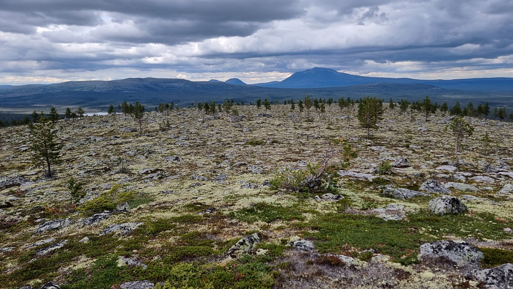 Utsikt mot Sølen