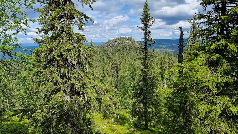 Da hadde jeg fri sikt bort på Skramsliberget