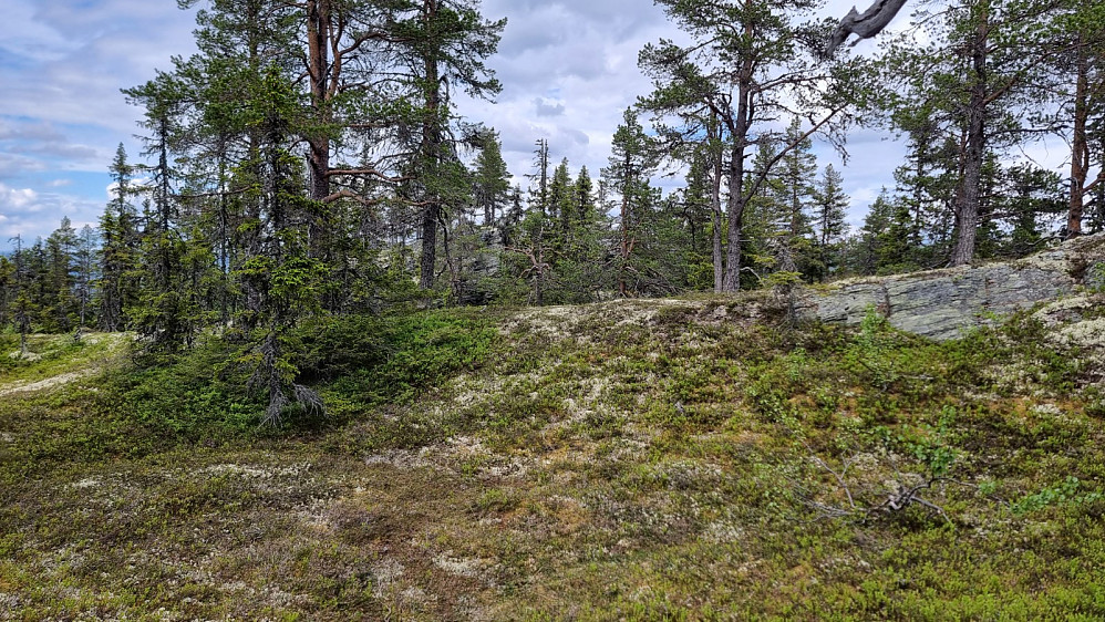Da fikk jeg toppklippen i siktet