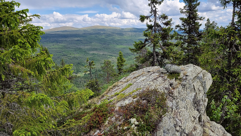 Her er høyeste punkt på Skarvberget, med flott utsikt
