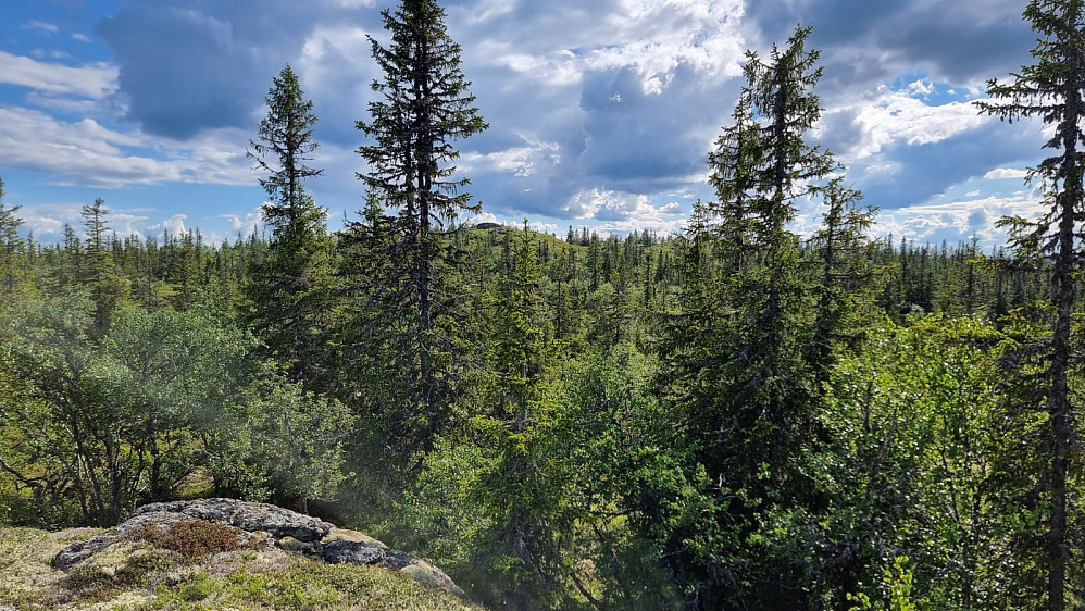 Her kom jeg meg opp på en bergknaus og fikk fri sikt bort på Valsjøberget