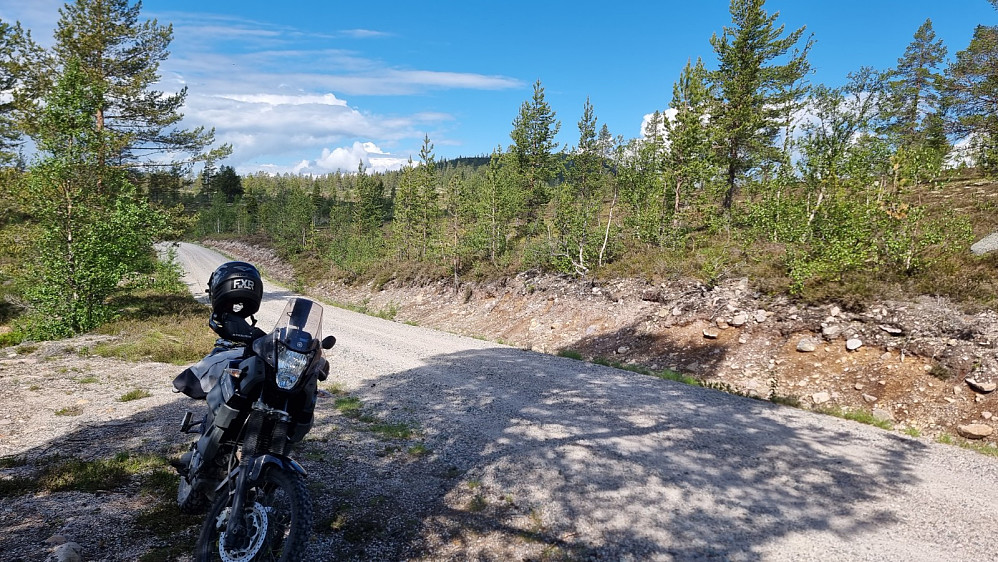 Jeg fant en parkeringsplass i skyggen bare et par hundre meter fra stistart