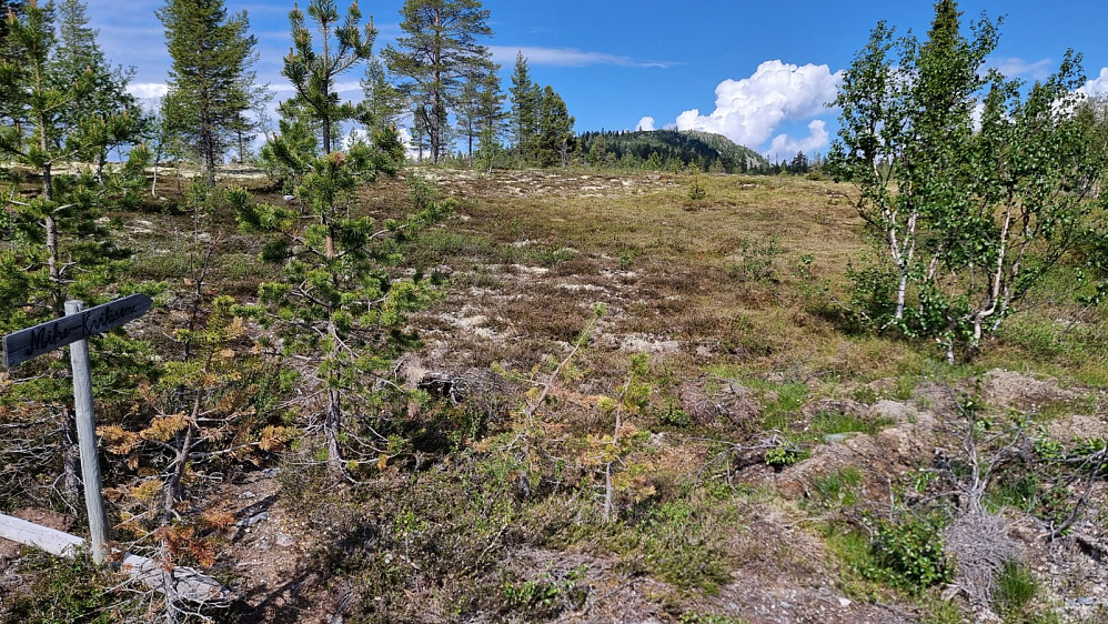 Skilt ved stistart og fin sti hele veien opp